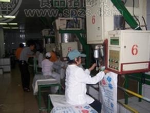 精制糖一級白砂糖批發(fā)價(jià)格趨勢及其在保健食品批發(fā)中的應(yīng)用