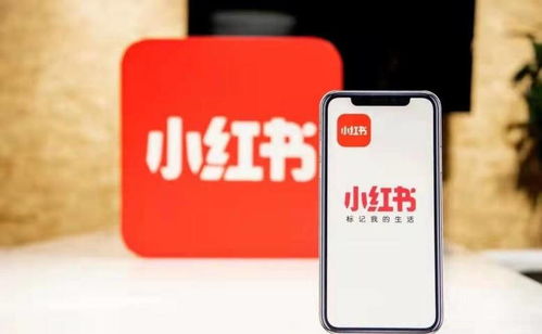 杭州噫融網(wǎng)絡(luò) 以專業(yè)運(yùn)營驅(qū)動小紅書種草推廣，助力計算機(jī)軟硬件品牌搶占市場先機(jī)